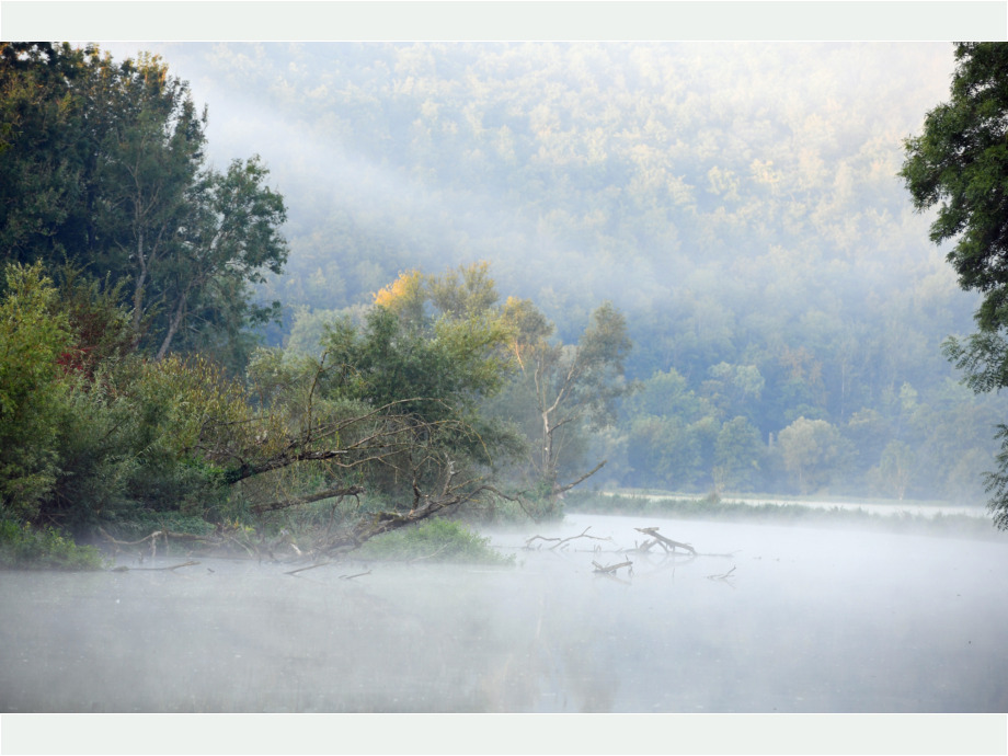 Nebel