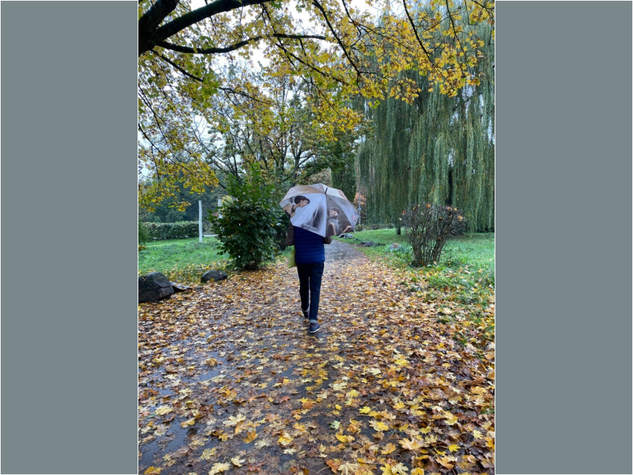 Beschirmt im Herbst. Erlensee