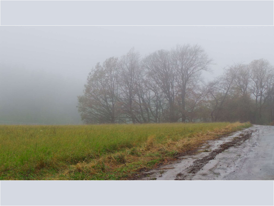 Nebel