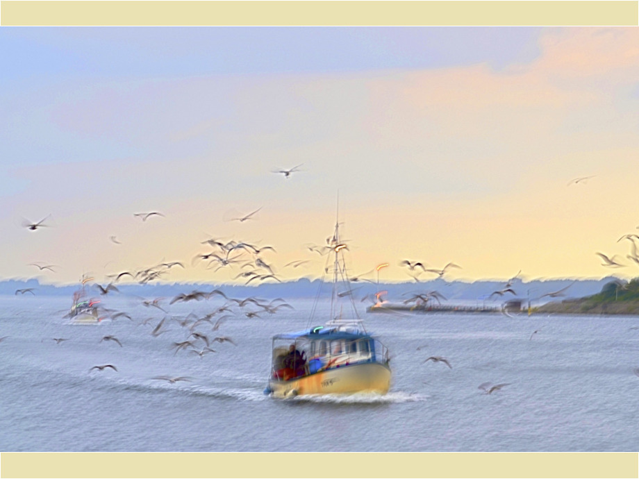 Fischerboote auf der Trave Fischerboote auf der Trave