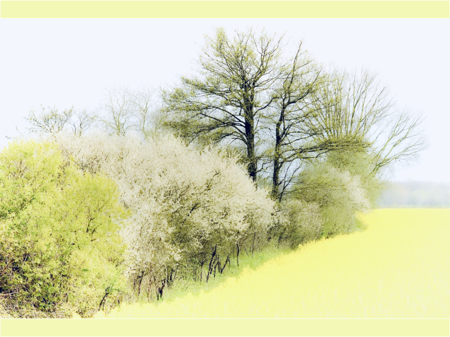 Fruehling Fruehling