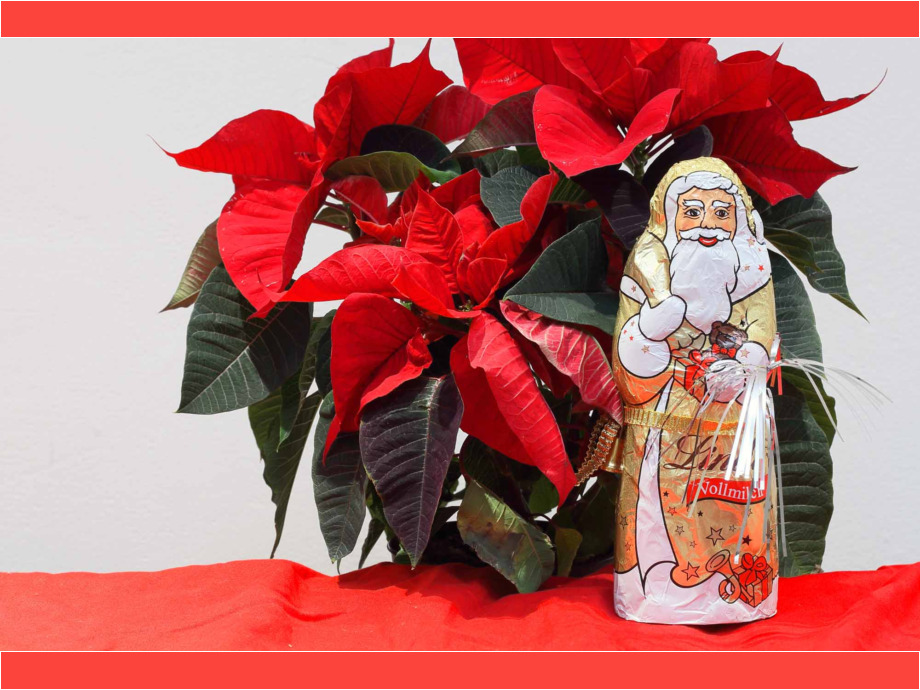 Eine kleine Adventsgeschichte - Teil 1