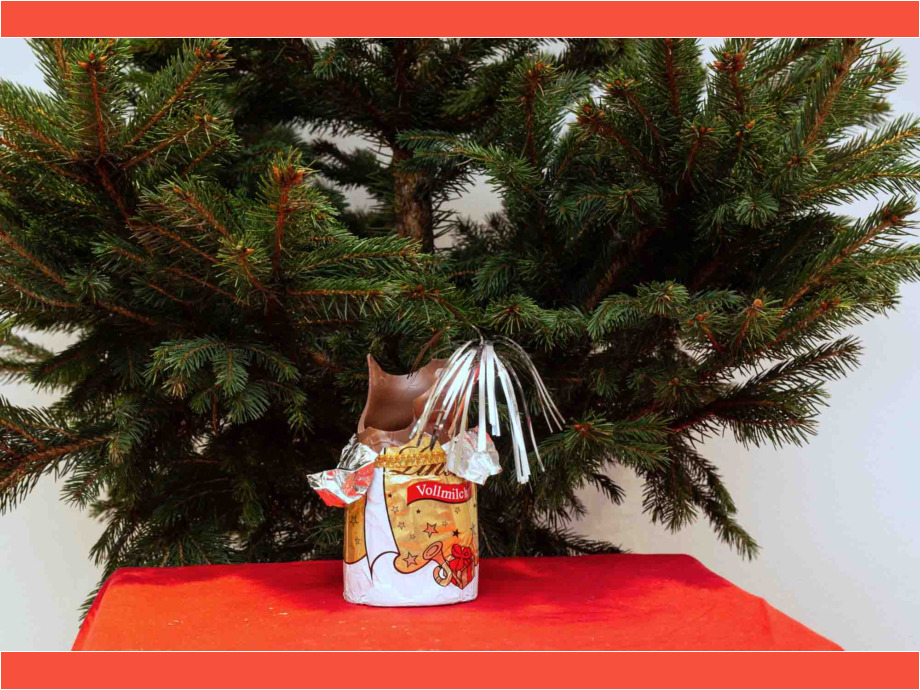 Eine kleine Adventsgeschichte - Teil 2