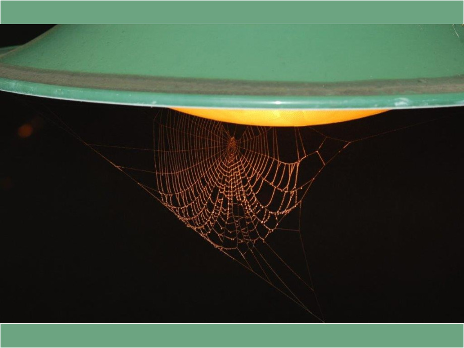 Meine Stehlampe
