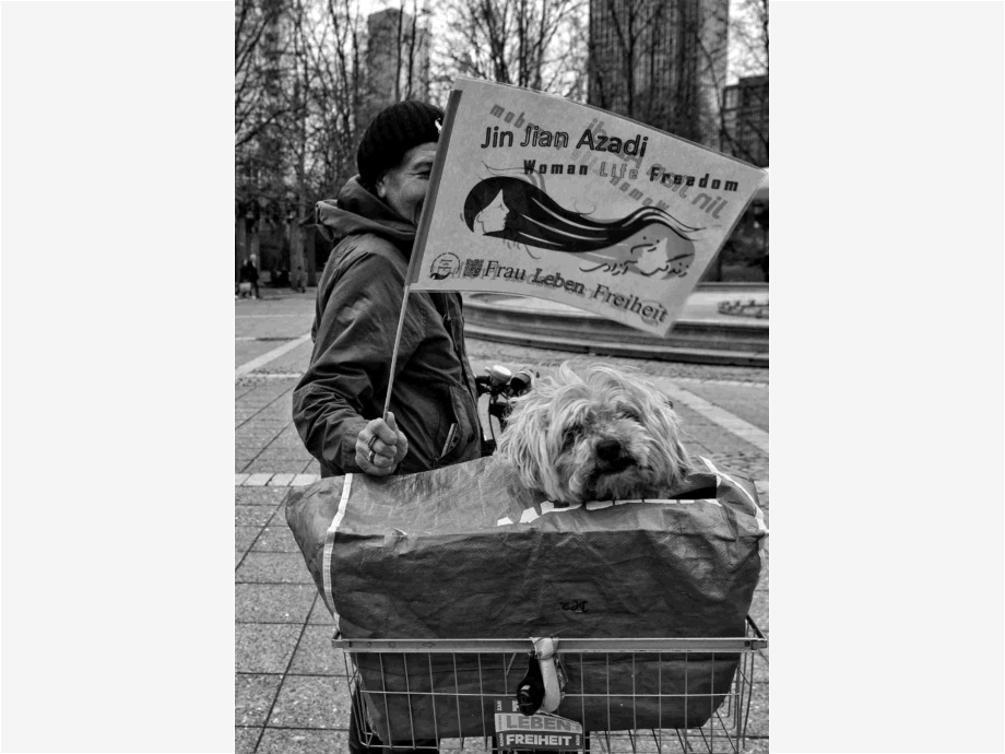 Frauen, Leben, Freiheit - Wir brauchen eure Solidarität!