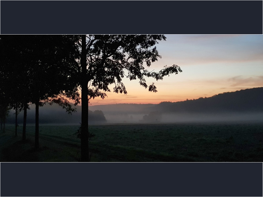 Morgennebel