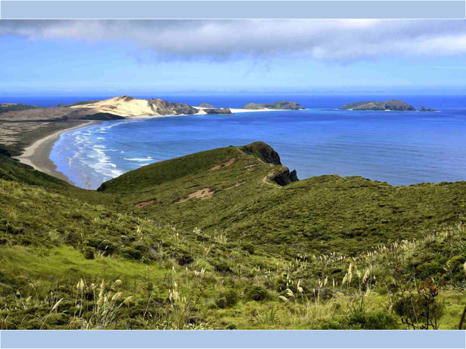 Cape Maria van Diemen (NZ)