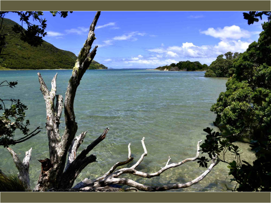 Houhora Heads (NZ)