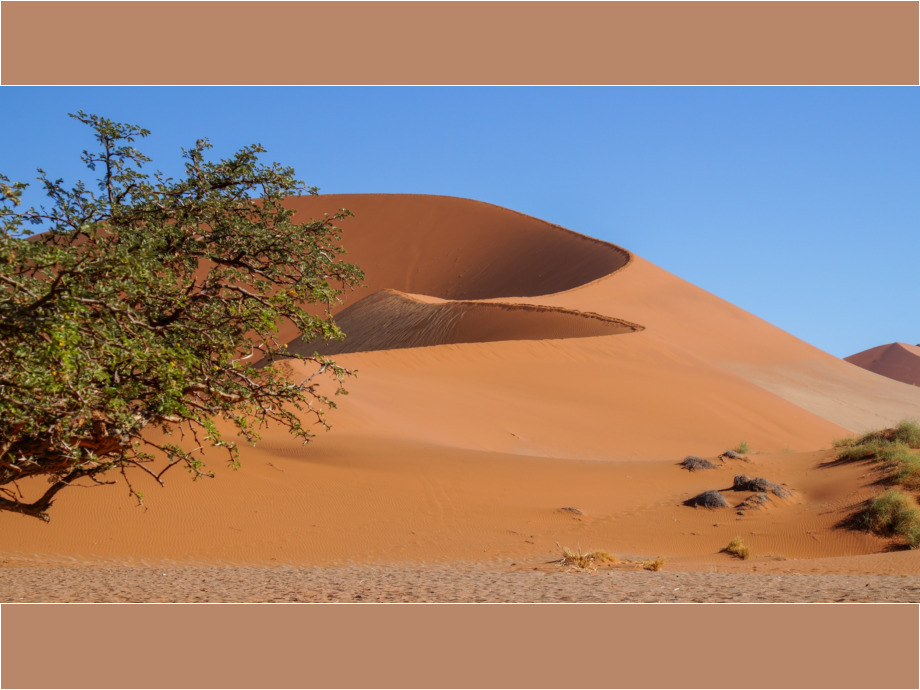 Düne 45 in Sossusvlei_Namibia