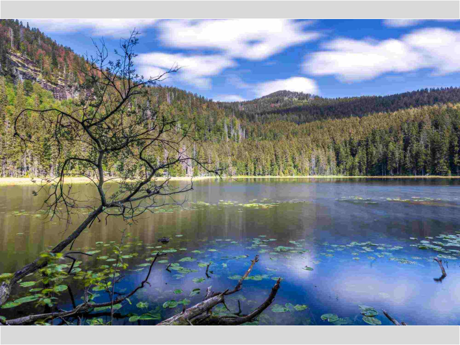 Bergsee