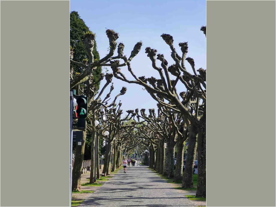 Wiesbaden Allee