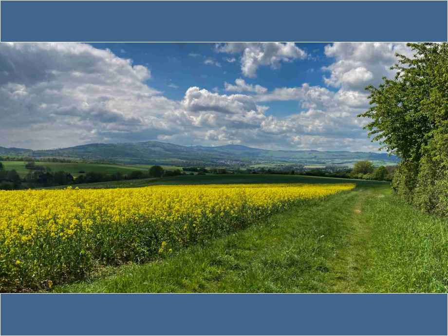 Feldweg im Taunus bei Wehrheim