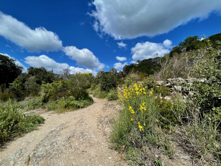 Cirque de Moureze