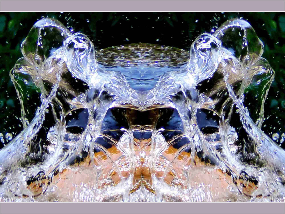 Wasserfrosch Wasserfrosch