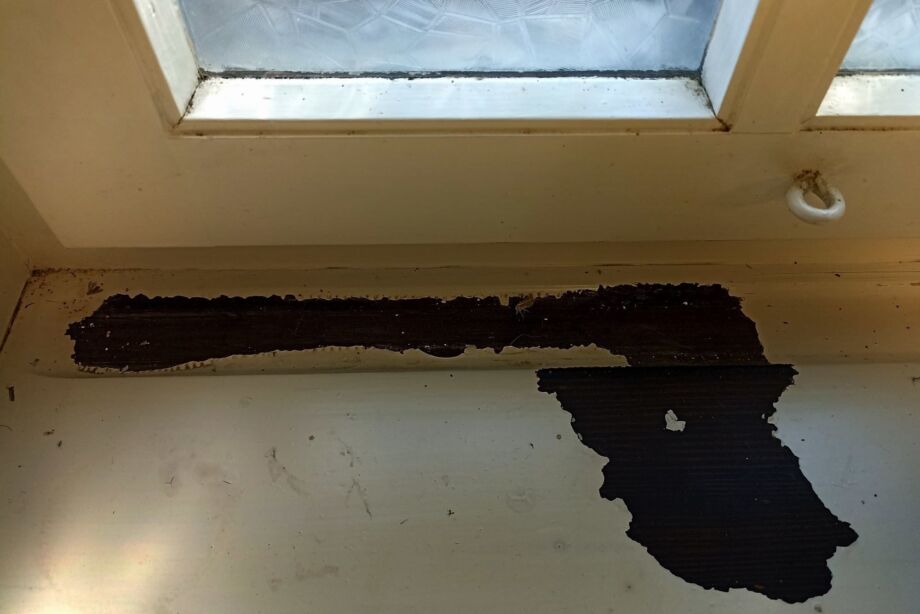 "Pistole" am Fenster "Pistole" am Fenster