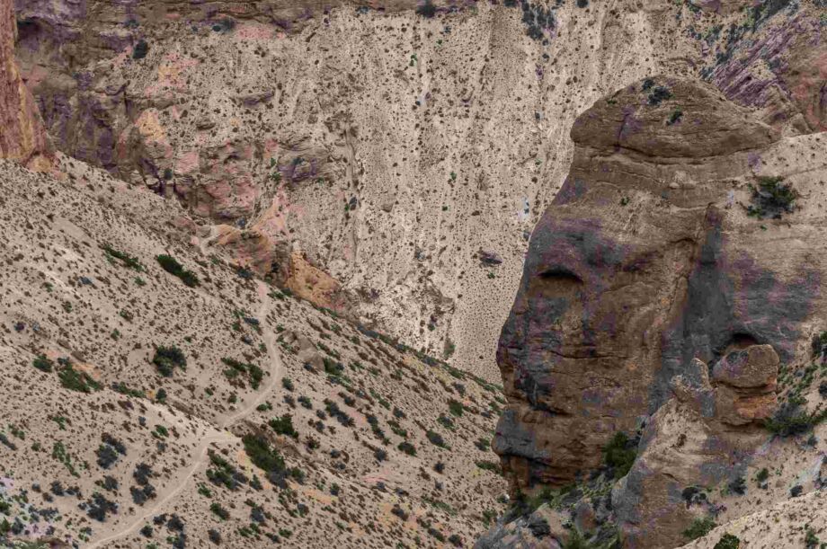 Der Wächter Der Wächter