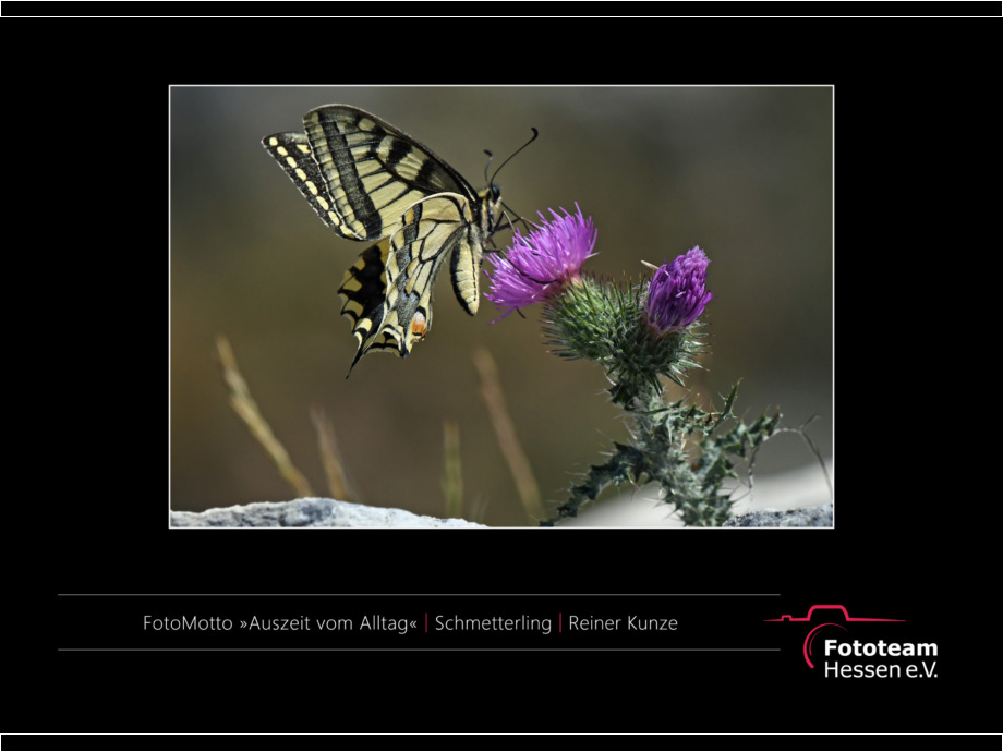 Ausstellung Best of Fotomotto