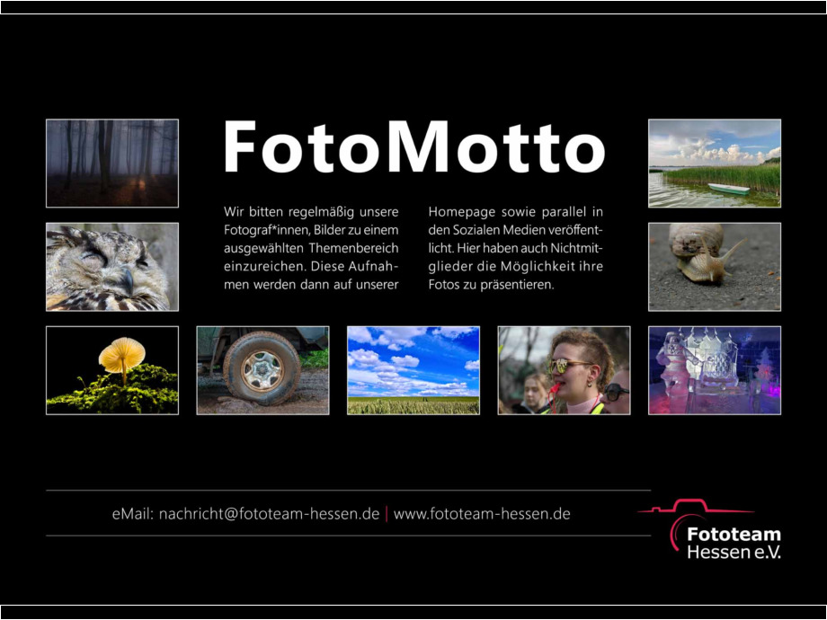 Ausstellung Best of Fotomotto