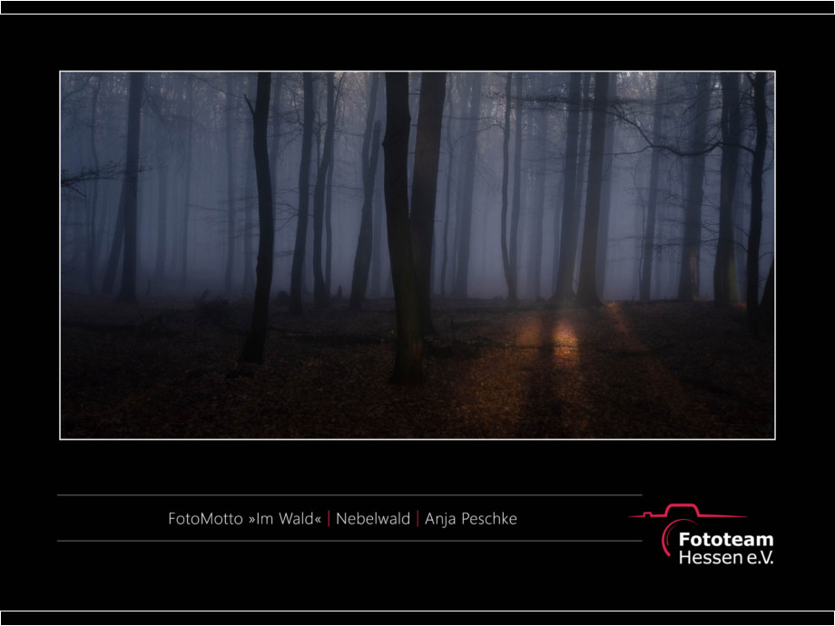 Ausstellung Best of Fotomotto