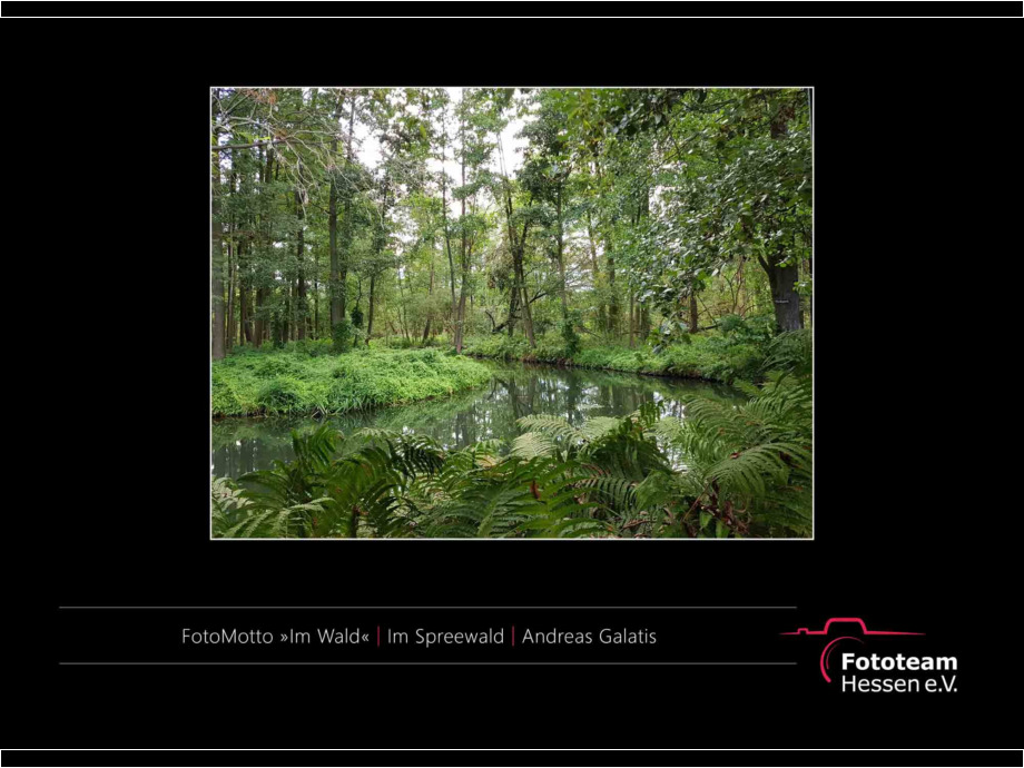Ausstellung Best of Fotomotto