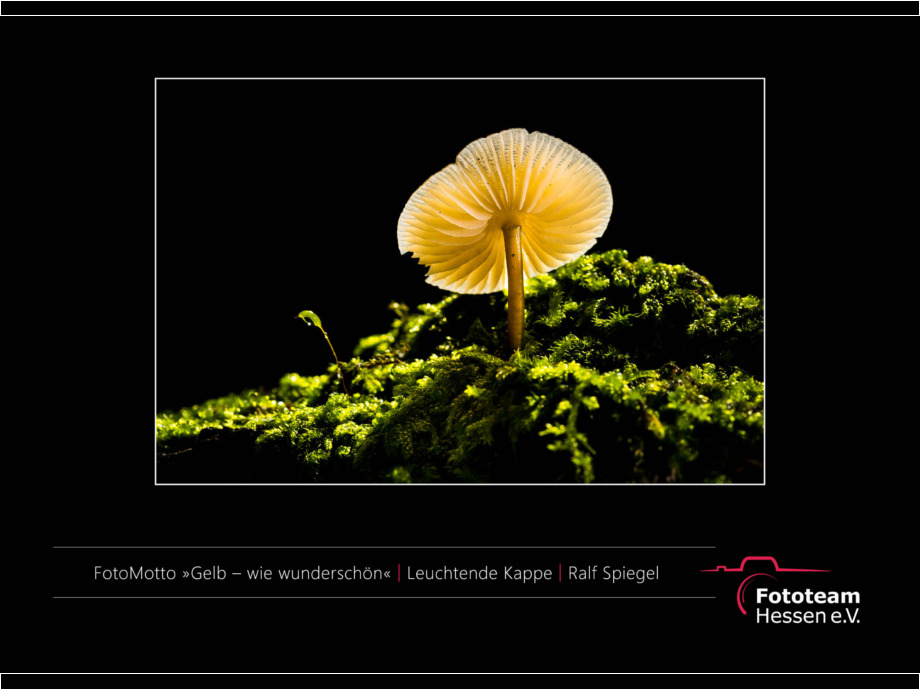 Ausstellung Best of Fotomotto