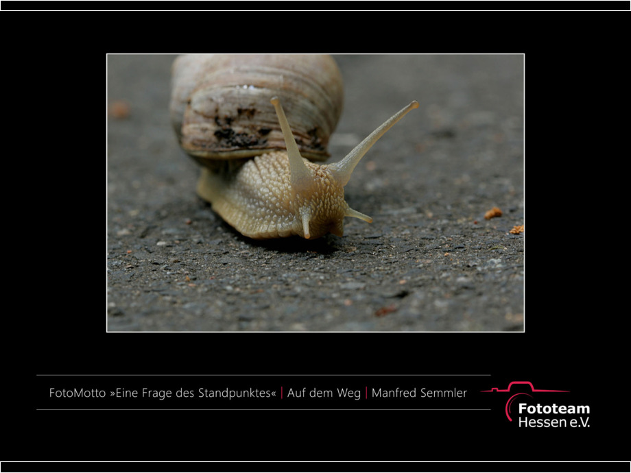 Ausstellung Best of Fotomotto