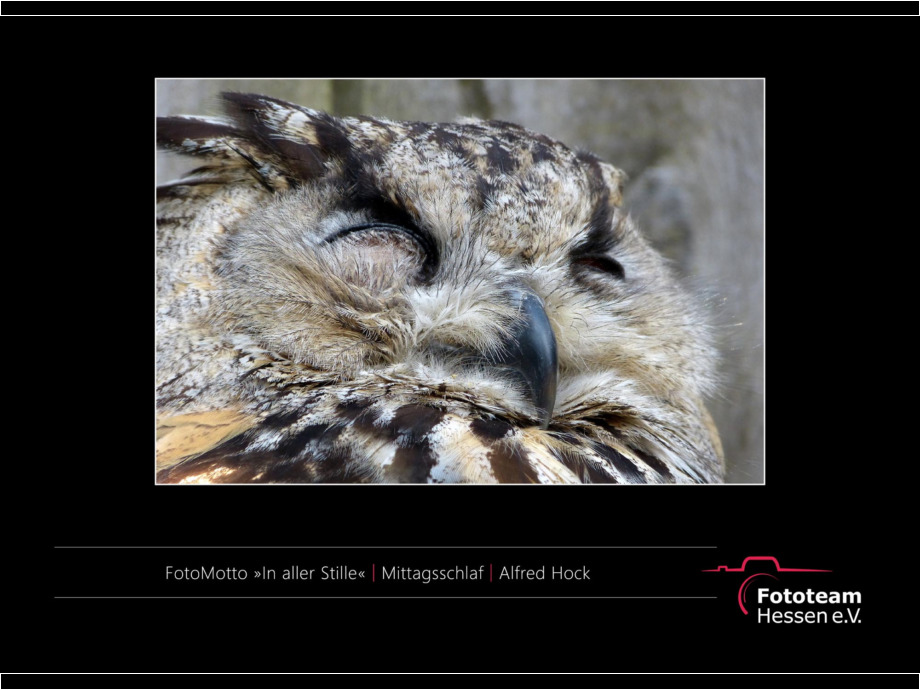 Ausstellung Best of Fotomotto