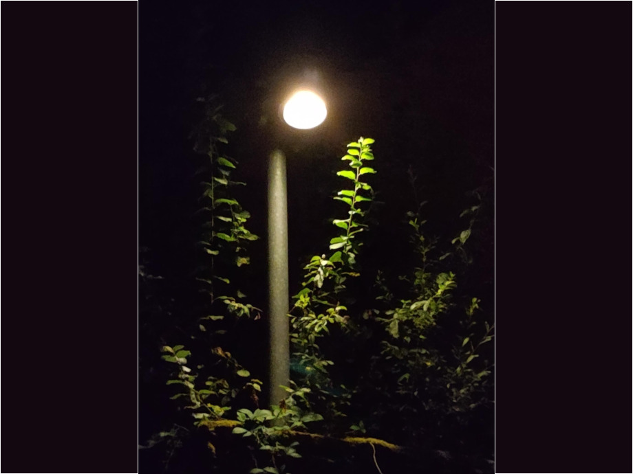 Grün beleuchtet
