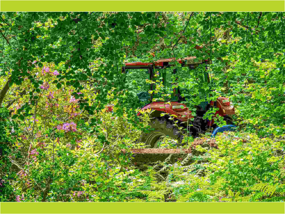 Traktor im Grünen
