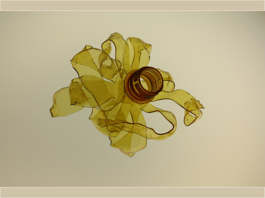 Reggio Kunst