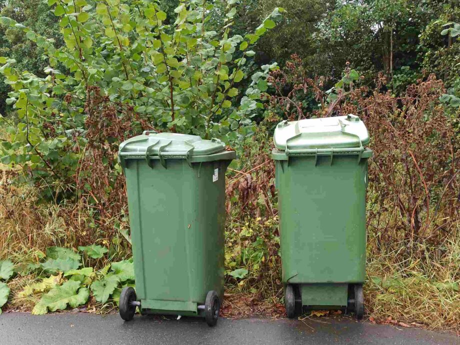 Grüne Tonnen