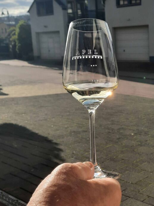 Ein Elbling vom Weingut Apel Ein Elbling vom Weingut Apel