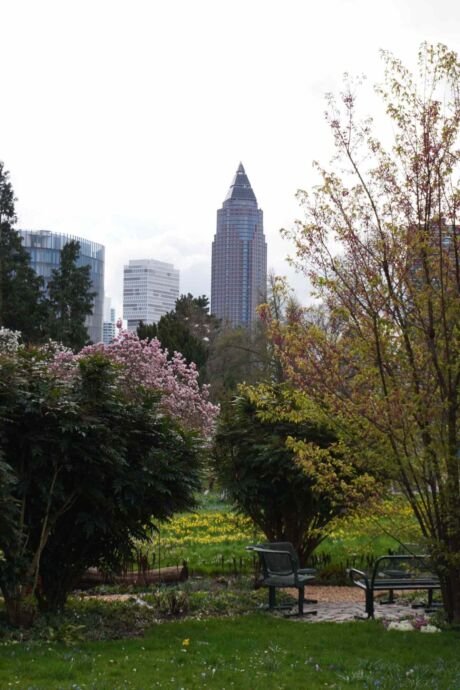 Skyline Ffm