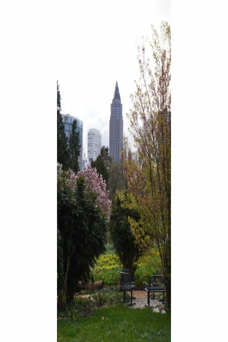 Skyline Ffm