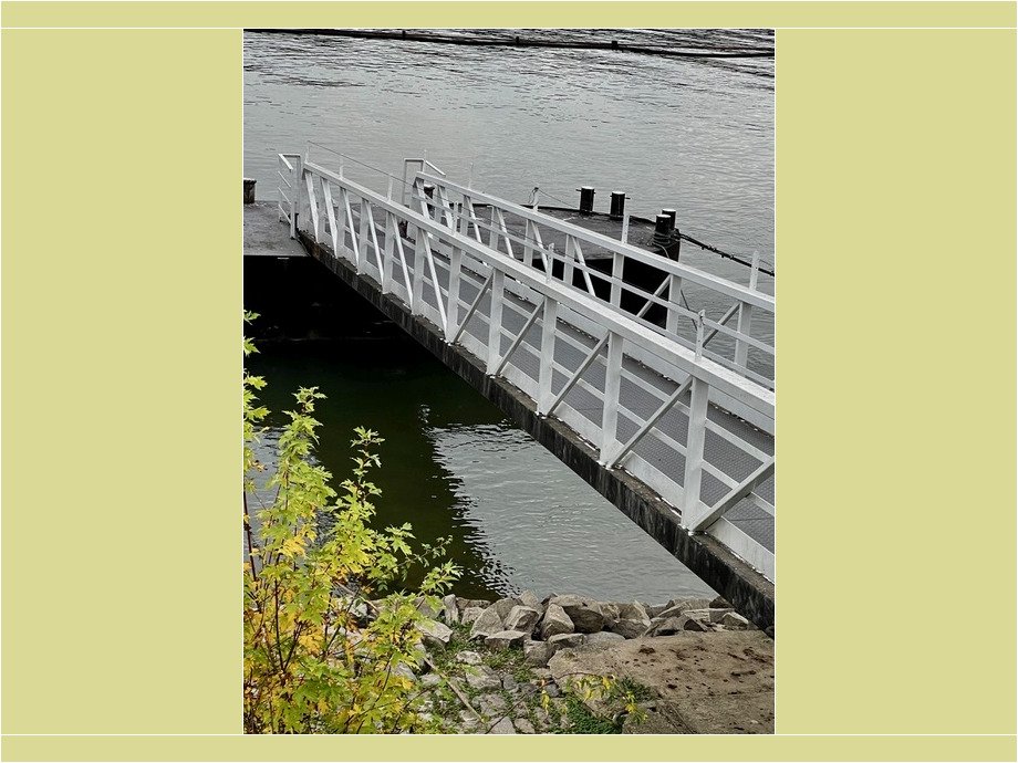 Steg am Rhein