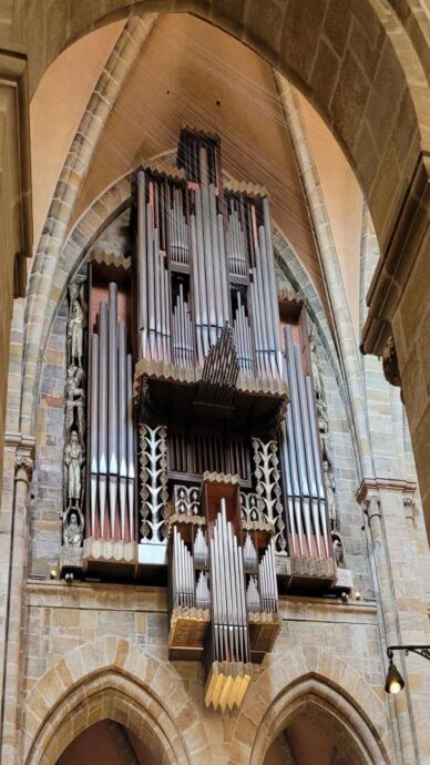 Orgel