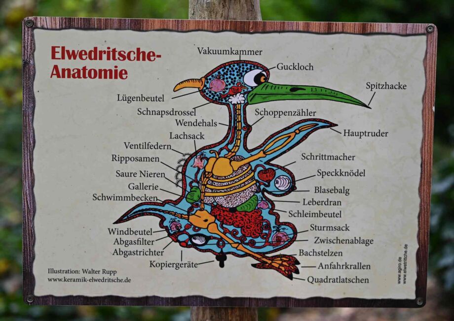Beldser Elvedridsche (gesehen im Zoo Landau,endemisches Vorkommen)