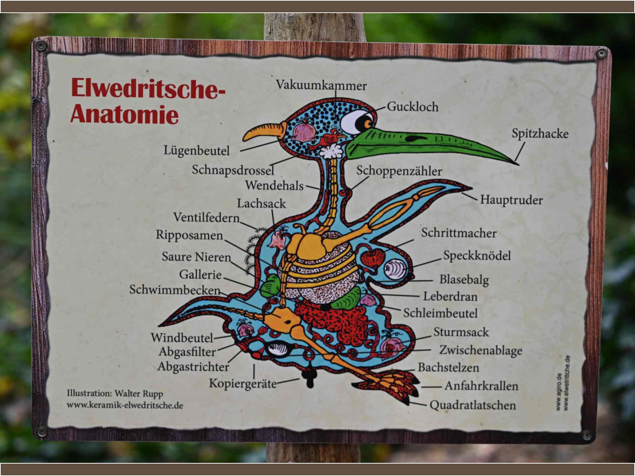 Beldser Elvedridsche (gesehen im Zoo Landau,endemisches Vorkommen)
