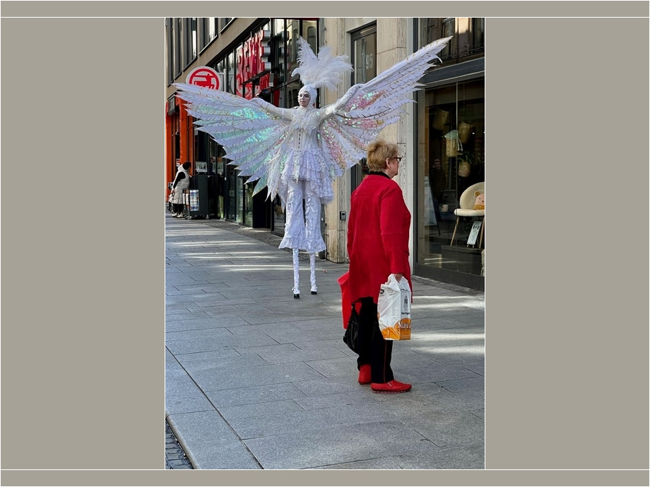 Vogel sucht Frau, Halle