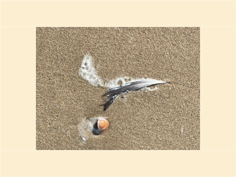 Es war einmal ein Vogel