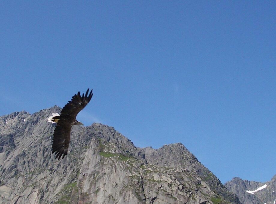 Freiheit