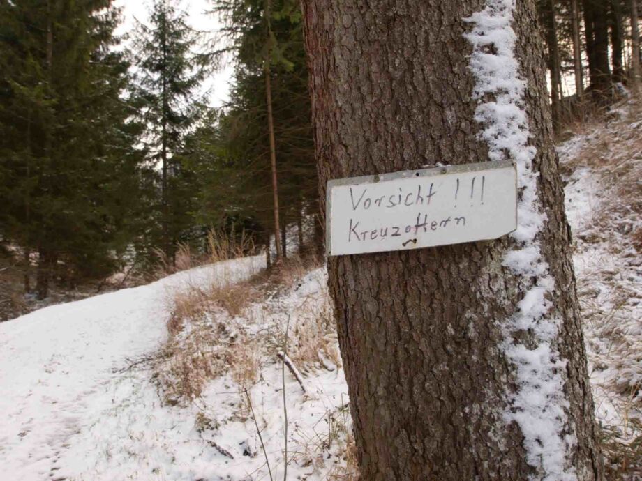 Vorsicht Kreuzottern!