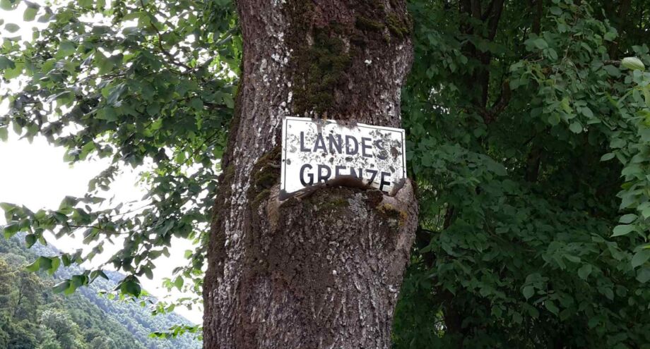 Mit dem Rad nach Wien
