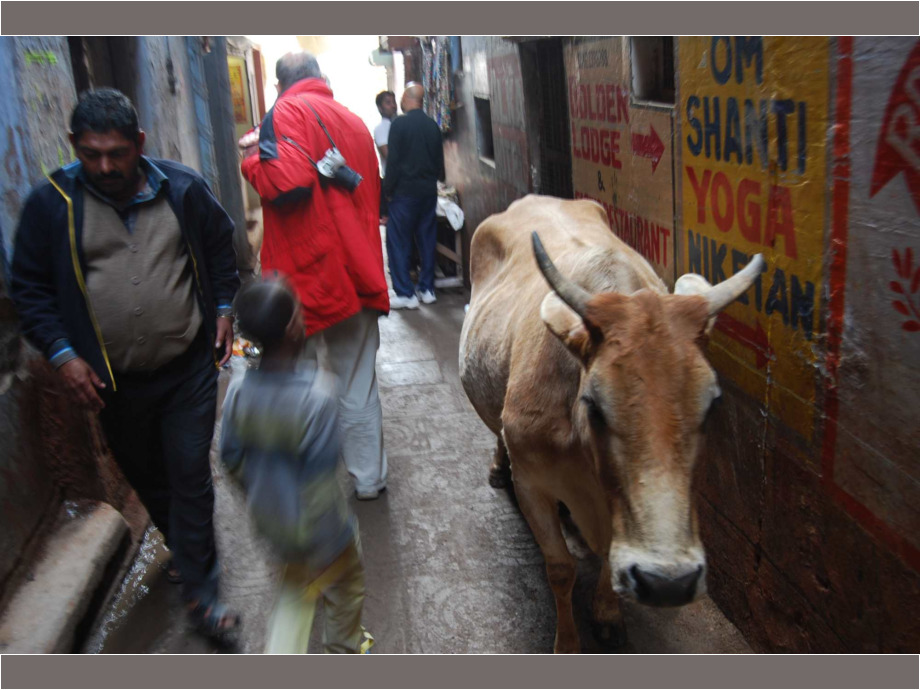 Im heiligen Varanasi Varanasi