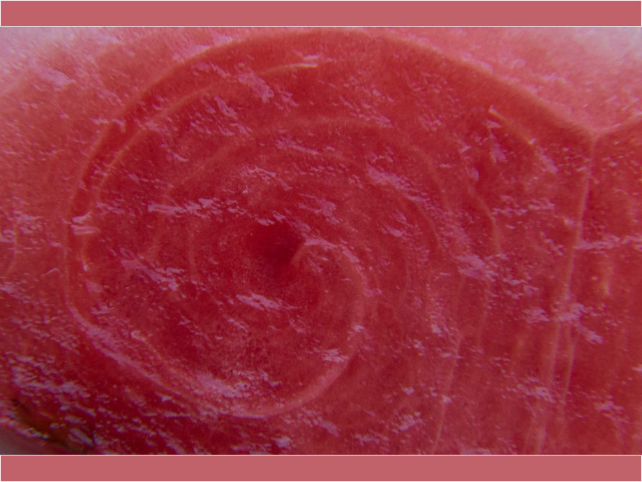 Inneres einer Wassermelone