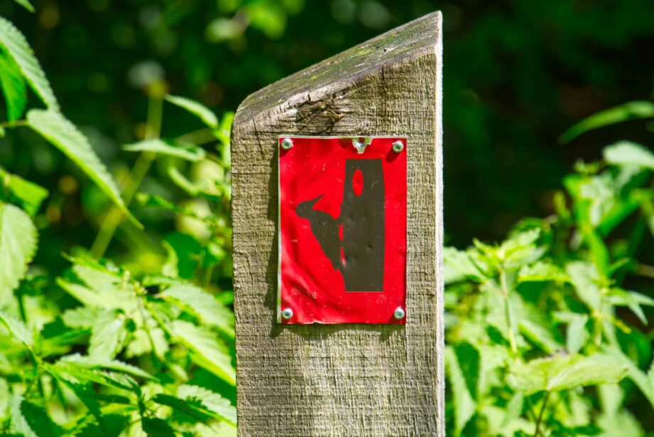 immer dem Weg nach - Reinhardswald
