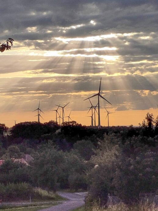 Windmuehlen im Gegenlicht
