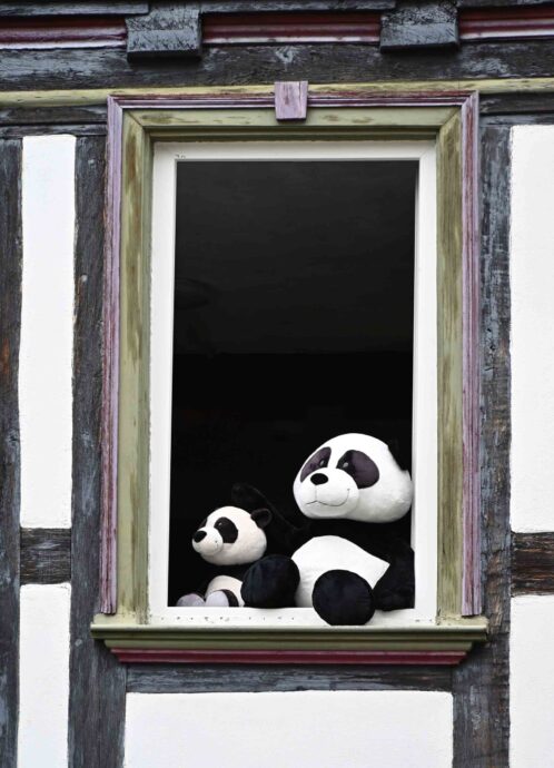 Wir werden beobachtet Wir werden beobachtet