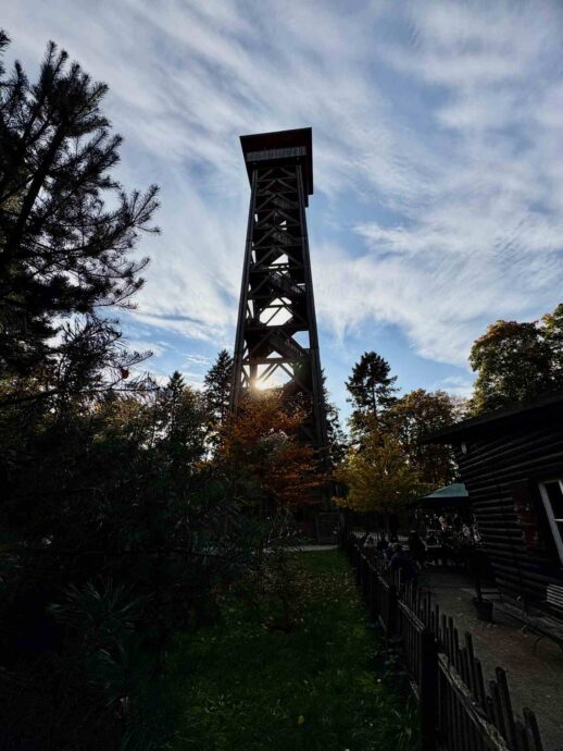 Von dem Goetheturm in Frankfurt hat sich eine Freundin vor Jahren runter gestürzt. Seitdem steige ich nicht mehr hoch, auch wenn die Aussicht noch so sehr verlockt. Doch die Sonne , die durch den Turm scheint, entschädigt mein flaues Gefühl.