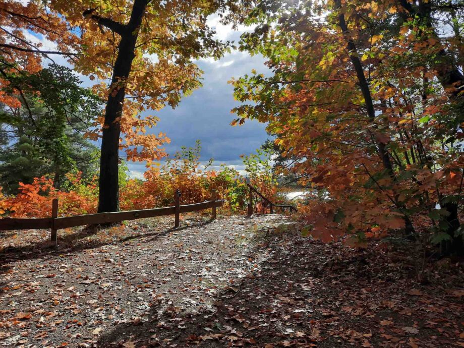 Schwelgen im Herbstlaub am Freigerichtsee in Kahl